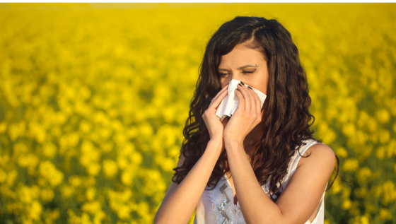Allergie di maggio: perché possono continuare 