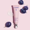 CAUDALIE RESVERATROL-LIFT TRATTAMENTO LIFTANTE OCCHI ANTI RUGHE, BORSE E OCCHIAIE CON COLLAGENE VEGANO 15 ML