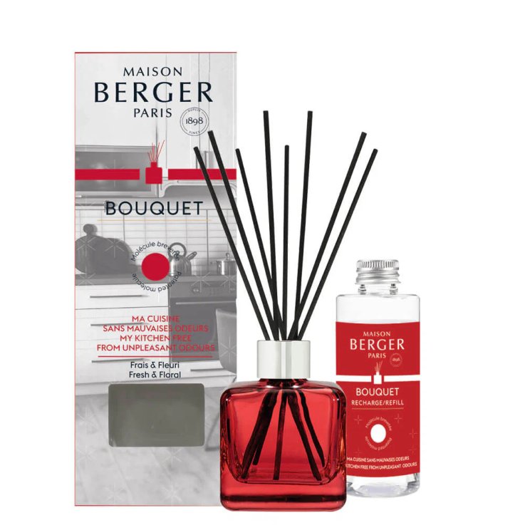 MAISON BERGER BOUQUET CUBE CON BASTONCINI - ANTI-ODORI CUCINA 100 ML