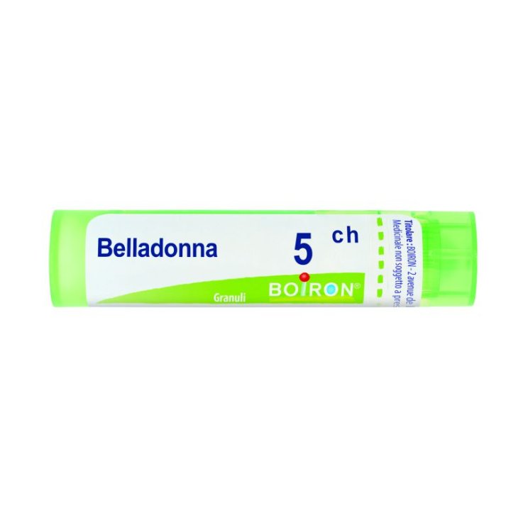 BELLADONNA BOI*5CH GR 4G