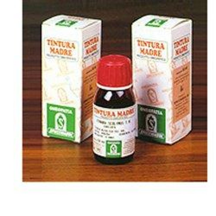 HARPAGOPHYTUM TM (35) GTT 50ML