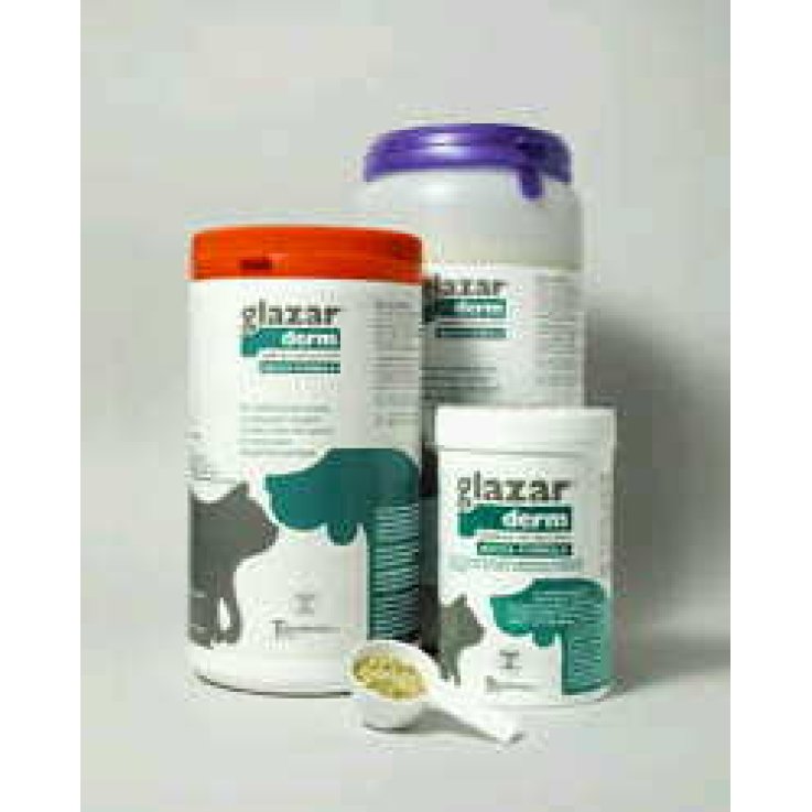 V GLAZAR DERM POLV.500GR DOG/CAT