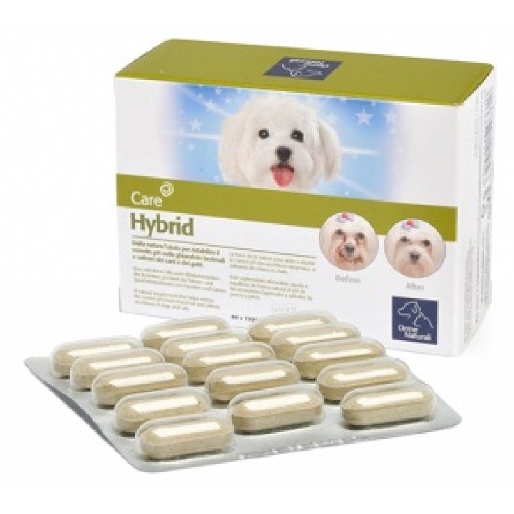 V HYBRID 60CPR ORME NAT.G880