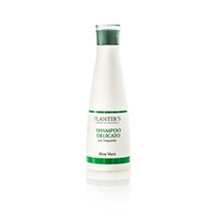 PLANTER S SHAMPOO DELICATO