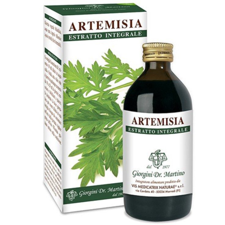 ARTEMISIA ESTR.INT.200ML GIORGIN