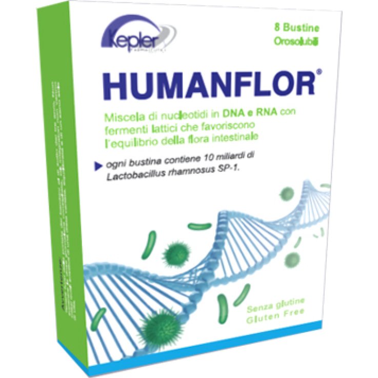 HUMANFLOR 8BUST OROS S/G(F.LAT/N