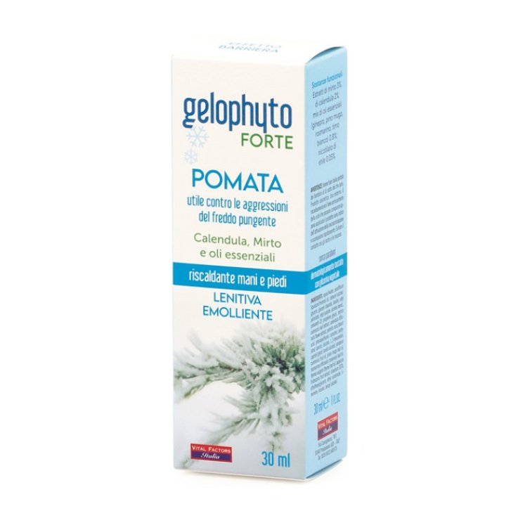GELOPHYTO FORTE POMATA 30ML