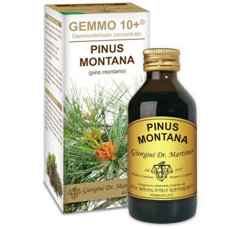 PINO MONTANO GEMMO 10+ S/ALC 100