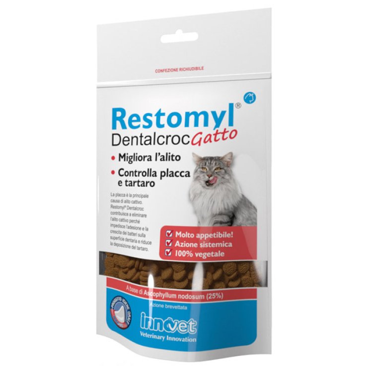 V RESTOMYL DENTALCROC GATTI 60GR