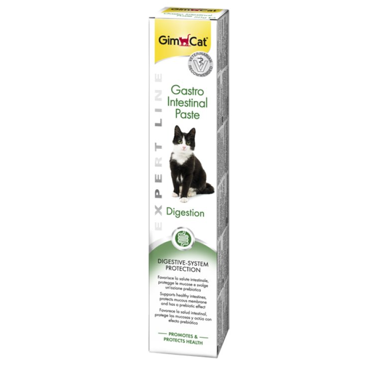 V GASTROINTESTINAL PASTA GA 50GR