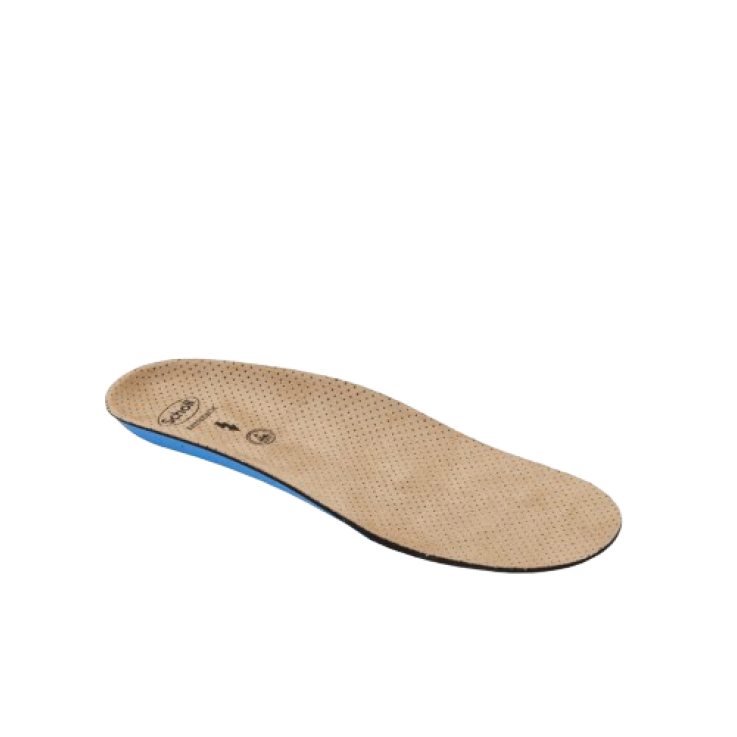 CLOG EVO ANAT ANT INS MIC37-38