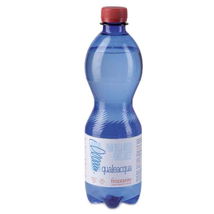 ACQUA MINERALE FRIZZANTE 500ML (