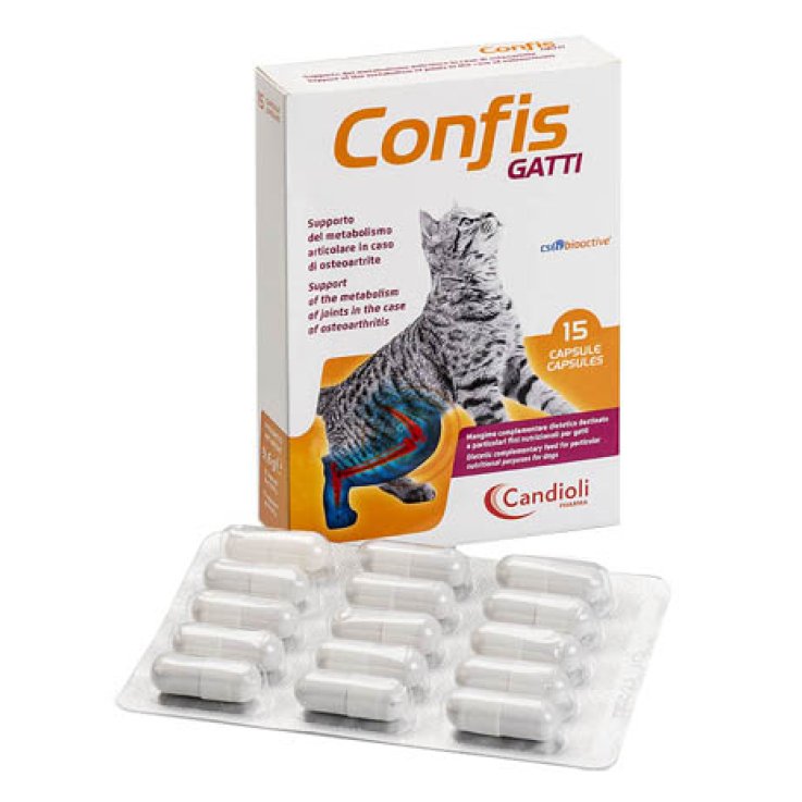 V CONFIS GATTI 15 CPS  APPET.