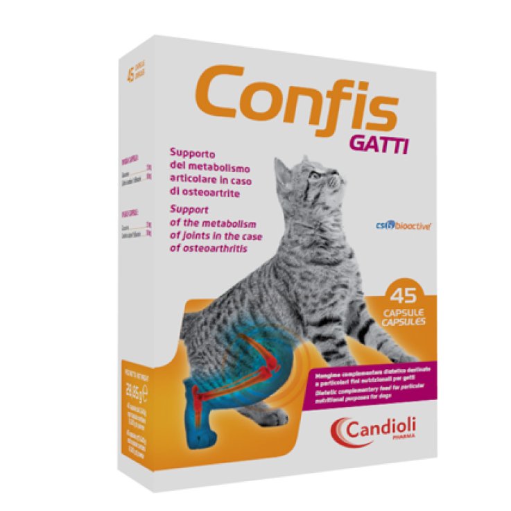 V CONFIS GATTI 45 CPS APPET.