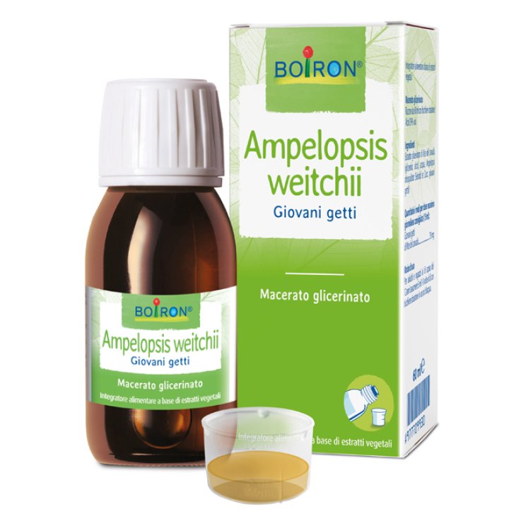 AMPELOPSIS WEI MG 60ML INT BOIRO