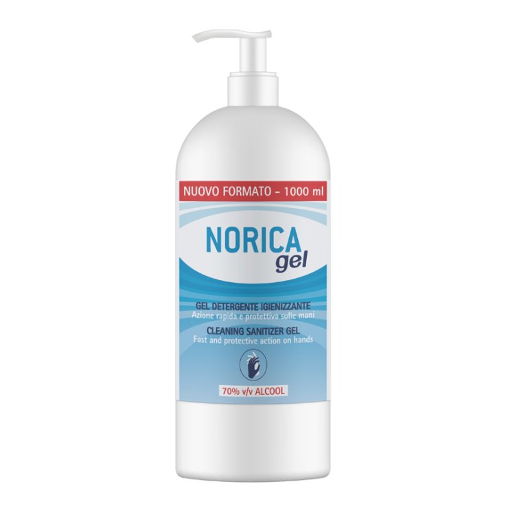 NORICA GEL DET IGIEN      1000ML