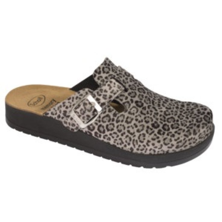 JANICE PRIMICR-W GREY 41