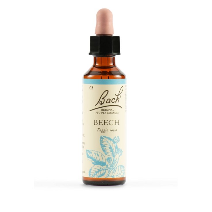 DHU  BACH BEECH ORIG 20ML