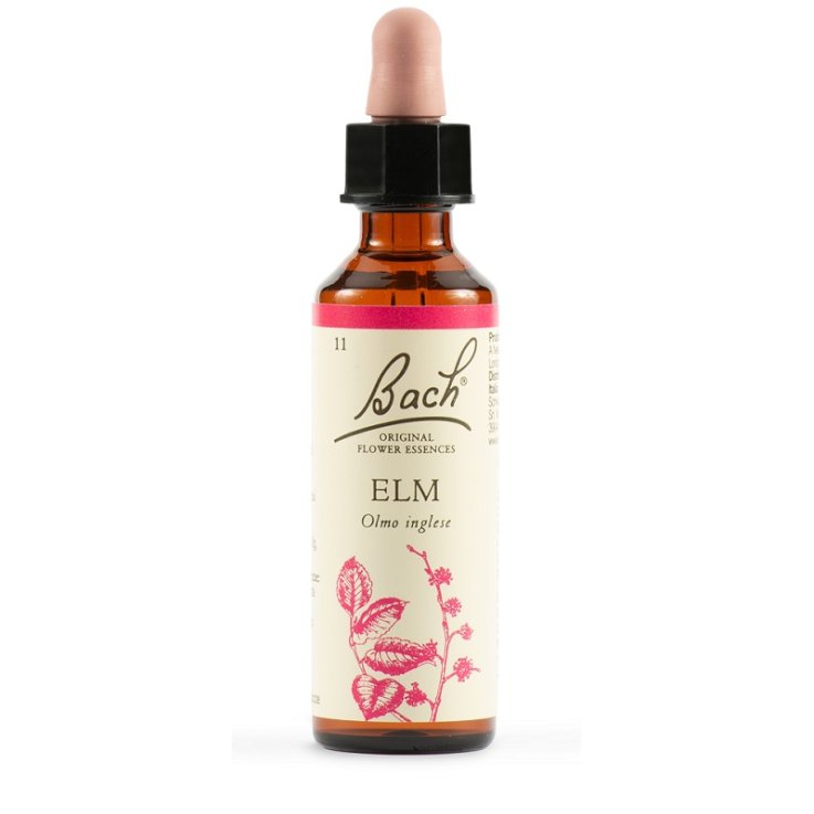 DHU  BACH ELM ORIG 20ML