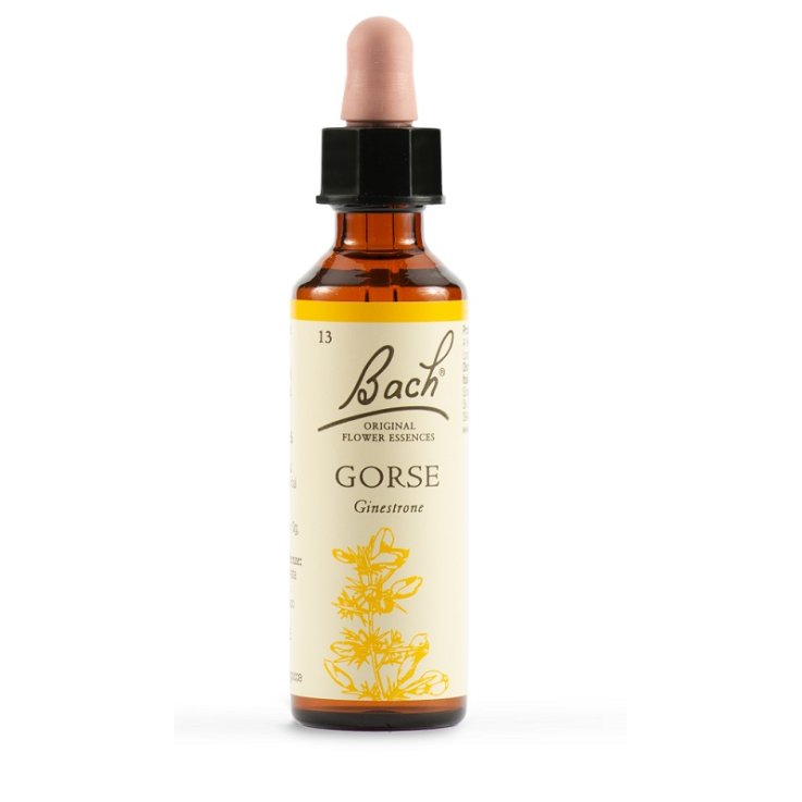 DHU  BACH GORSE ORIG 20ML