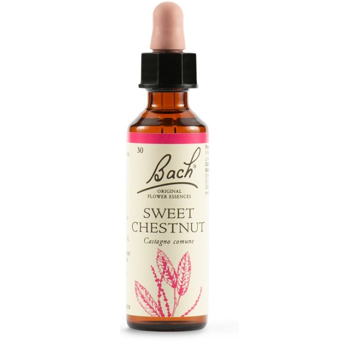 DHU  BACH SWEET CHESTNUT ORIG 20