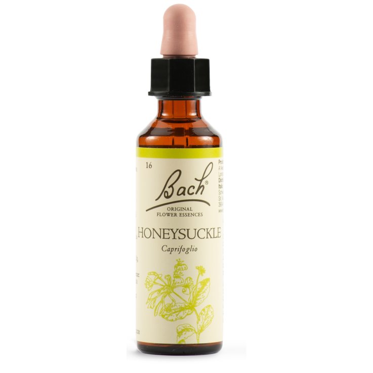 DHU  BACH HONEYSUCKLE ORIG 20ML