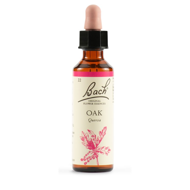 DHU OAK GTT N/F 20ML (CERT