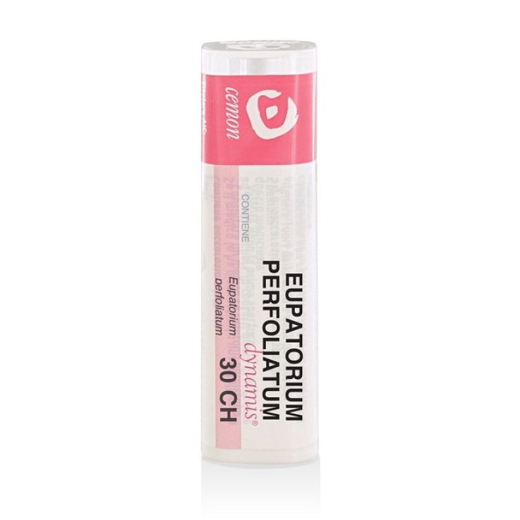 EUPATORIUM  30CH GRN CEMON