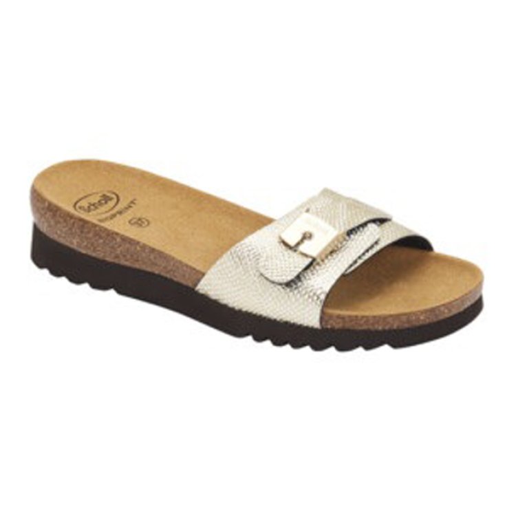 GINNI REPT PR SY W PL 40