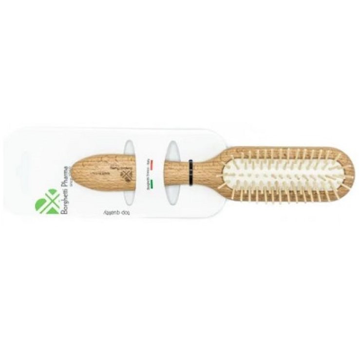 SPAZZOLA LEGNO RETT PICCHI LE