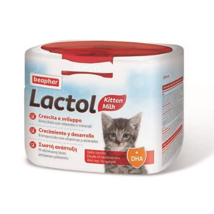 V LACTOL KITTY MILK 200GR POLV