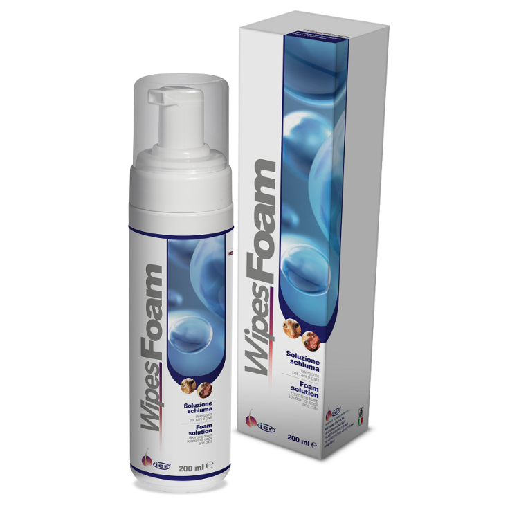 V WIPESFOAM SCHIU.DETERG/IGIENI
