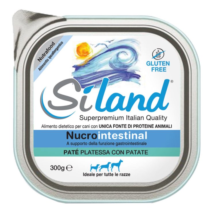 V SILAND NUCROINT.DOG 300GR PLAT