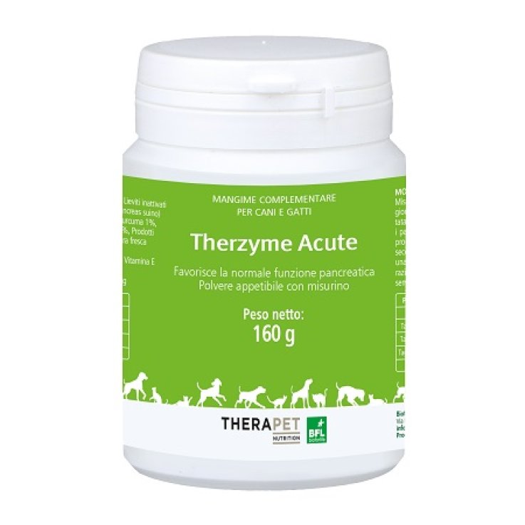 V THERZYME ACUTE POLVERE 160G