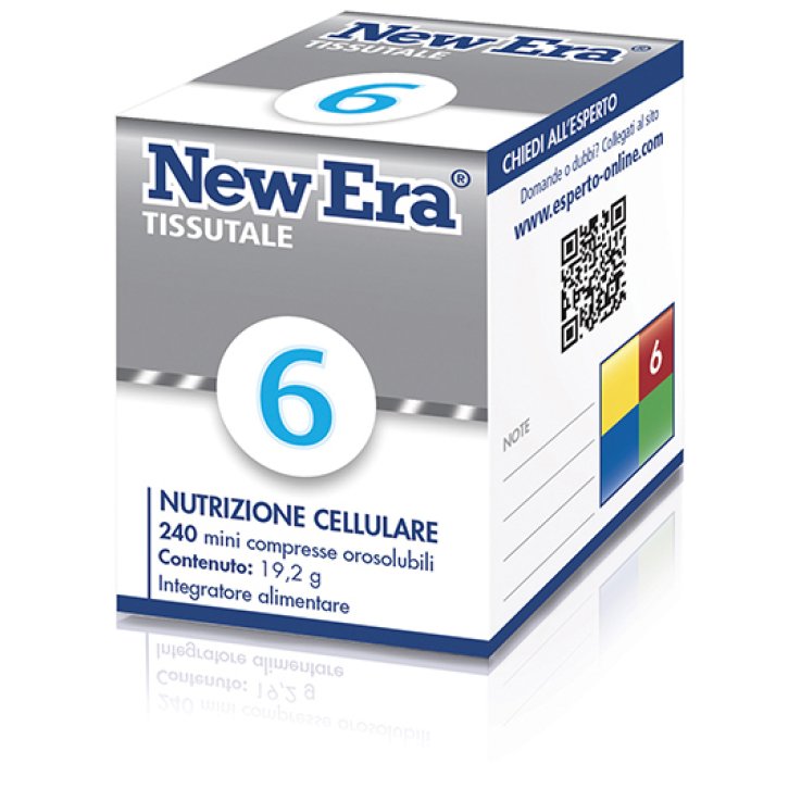 NEWERA  6  240CPR