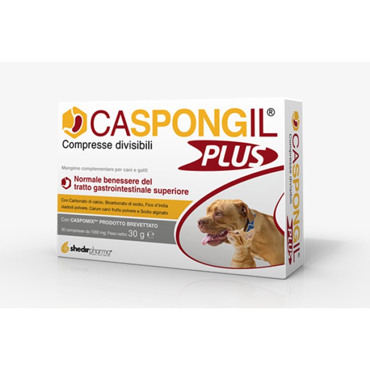 V CASPONGIL PLUS 30CPR
