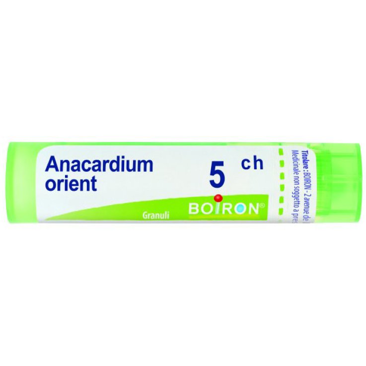 ANACARDIUM ORIENT 5CH GR 4G
