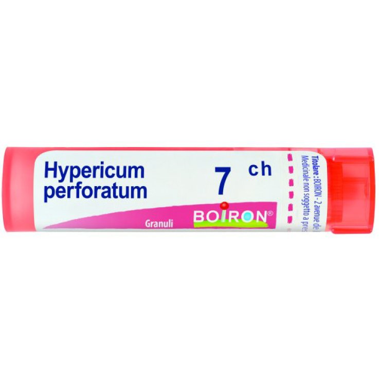 HYPERICUM  7CH GRN           b