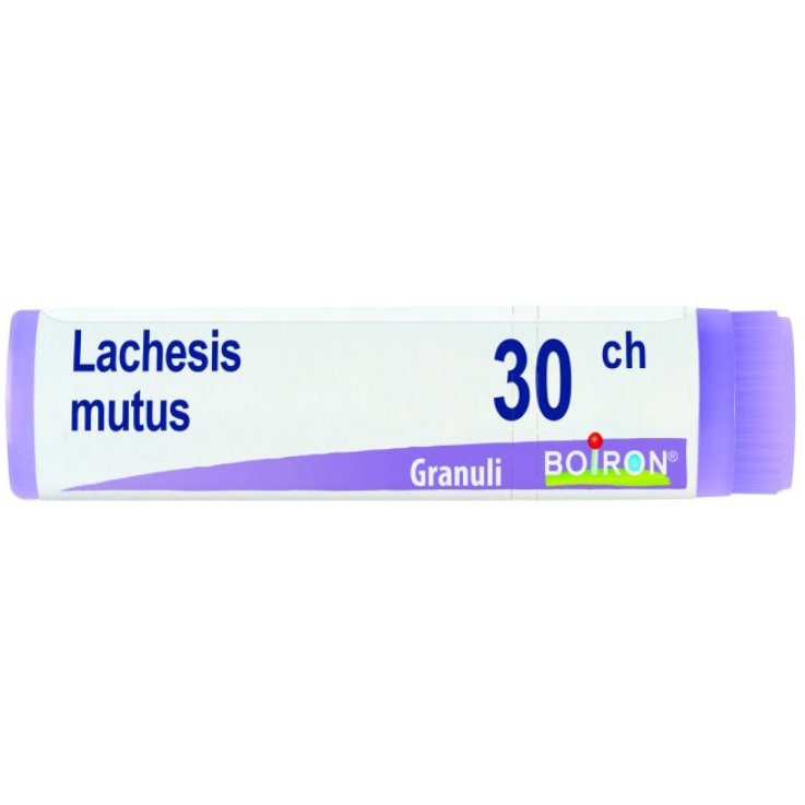 LACHESIS  MUTUS 30CH DOSE    B