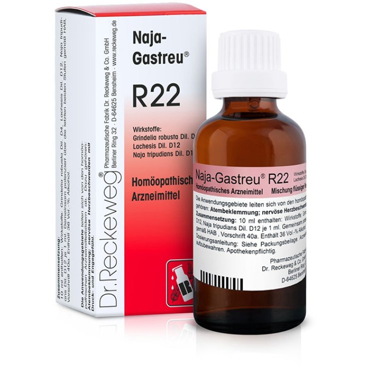 RECKEWEG R.22 GTT 22ML