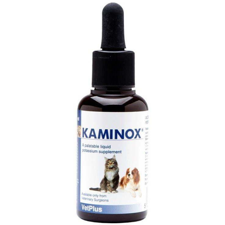 V KAMINOX SCIROP 60ML CA/GA(POTA