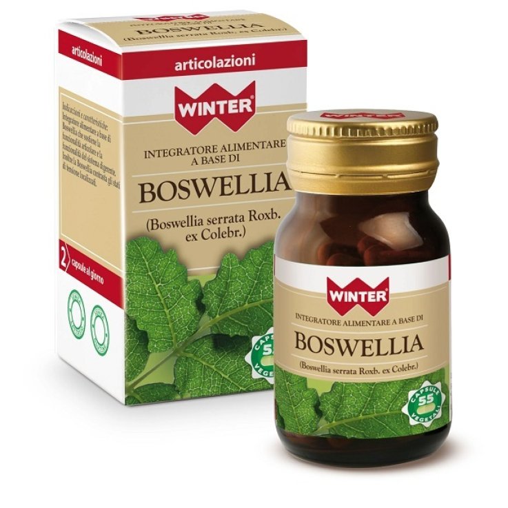 BOSWELLIA 55CPS VEG WINTER