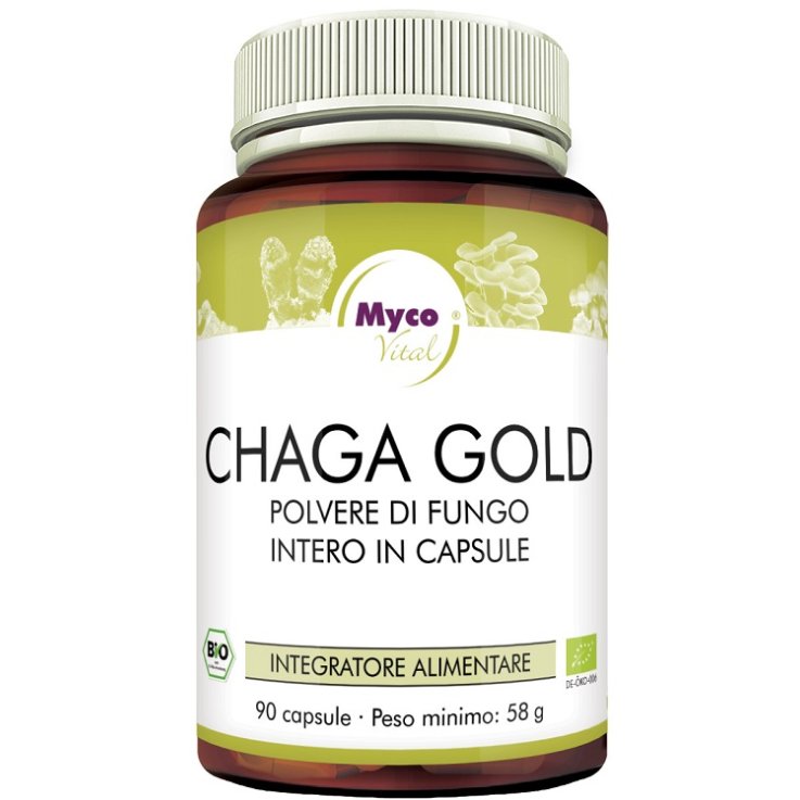 CHAGA GOLD 90CPS N/F HIFAS DA TE