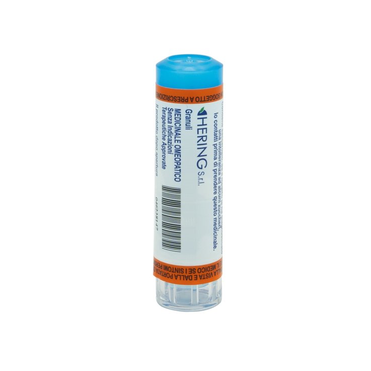 PULSATILLA*30CH 80GR 4G