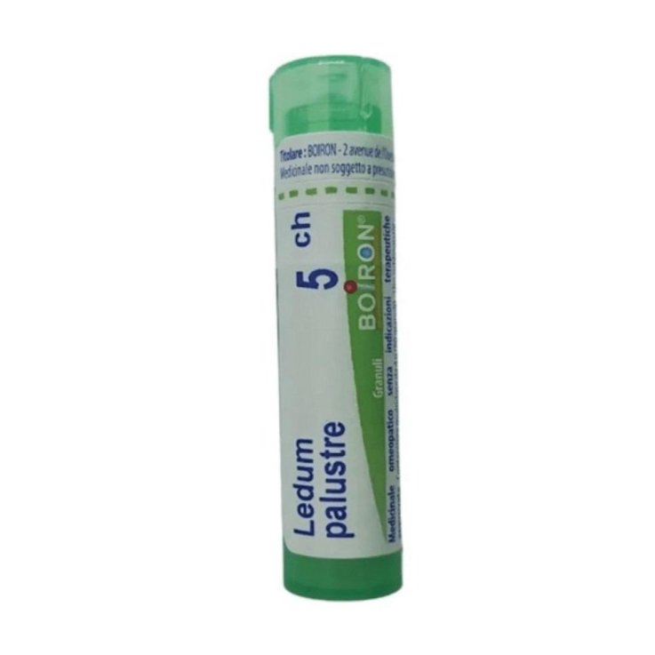 LEDUM PALUSTRE BOI*5CH GR 4G