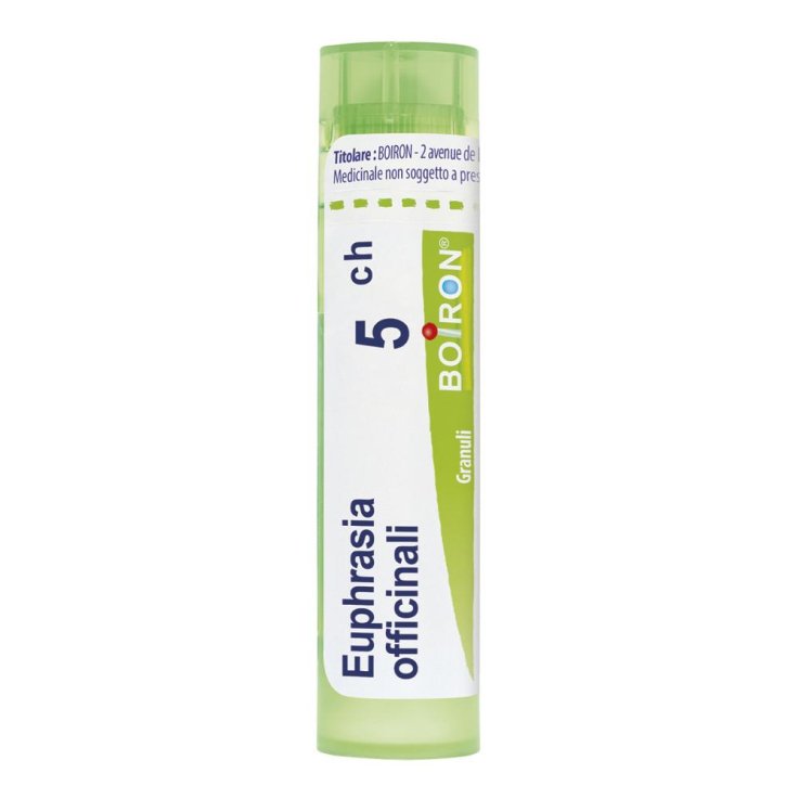 EUPHRASIA OFF 5CH GR 4G