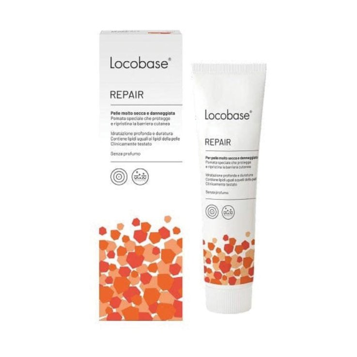 LOCOBASE REPAIR 100G