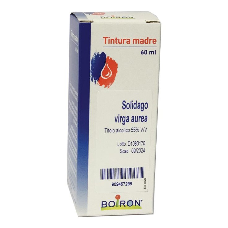 SOLIDAGO VIRGA AUREA TM GTT 60ML