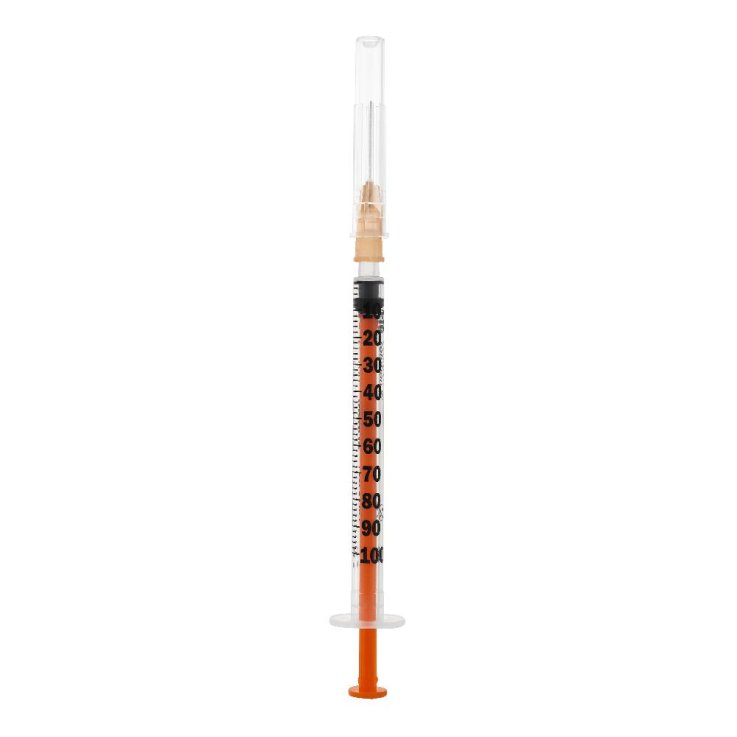 SIR PIC INSULINA 1ML G25 5/8