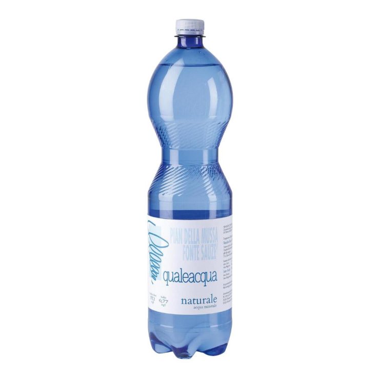 ACQUA NATURALE PIAN DELLA MUSSA